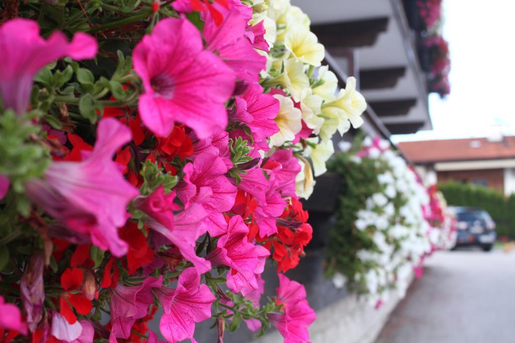 Ferienland Stubai Aparthotel ฟูลป์เมส ภายนอก รูปภาพ